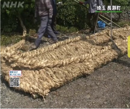 2021_05_10 Giant Sandals